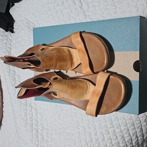 Bedstu camel gladiator